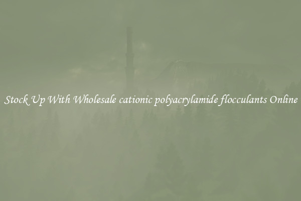 Stock Up With Wholesale cationic polyacrylamide flocculants Online