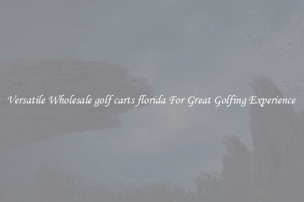 Versatile Wholesale golf carts florida For Great Golfing Experience 