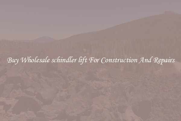 Buy Wholesale schindler lift For Construction And Repairs