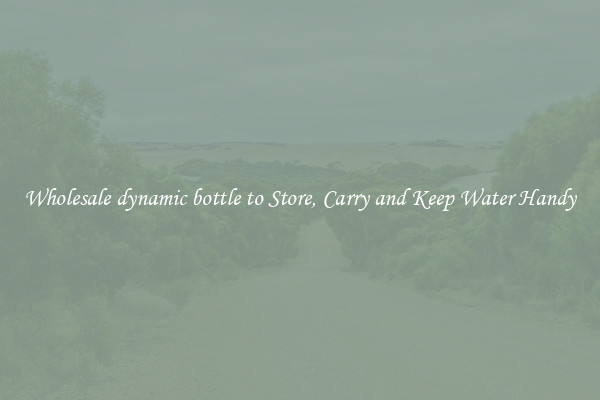 Wholesale dynamic bottle to Store, Carry and Keep Water Handy