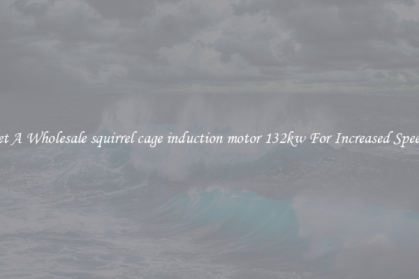 Get A Wholesale squirrel cage induction motor 132kw For Increased Speeds