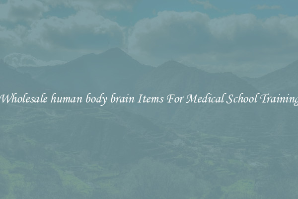 Wholesale human body brain Items For Medical School Training