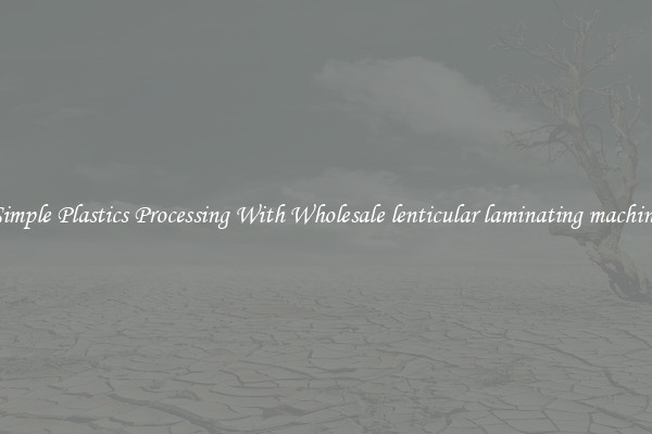 Simple Plastics Processing With Wholesale lenticular laminating machine