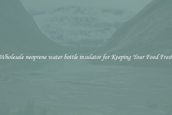 Wholesale neoprene water bottle insulator for Keeping Your Food Fresh