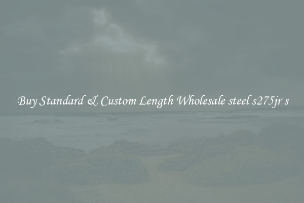 Buy Standard & Custom Length Wholesale steel s275jr s