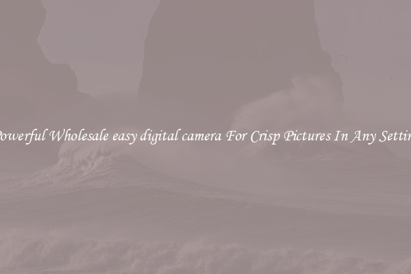 Powerful Wholesale easy digital camera For Crisp Pictures In Any Setting