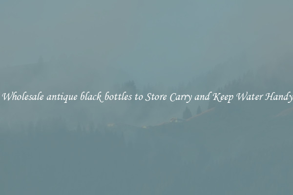 Wholesale antique black bottles to Store Carry and Keep Water Handy