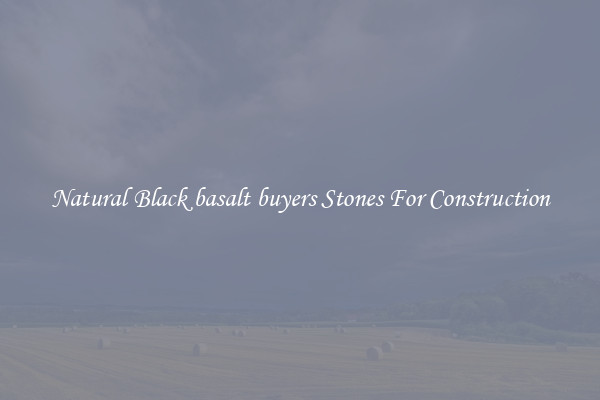 Natural Black basalt buyers Stones For Construction