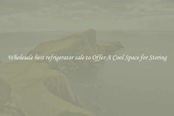 Wholesale best refrigerator sale to Offer A Cool Space for Storing