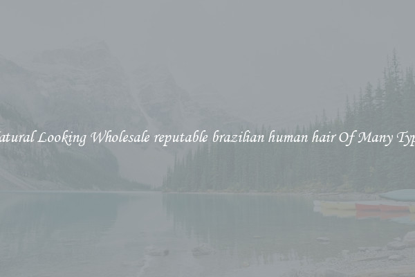 Natural Looking Wholesale reputable brazilian human hair Of Many Types