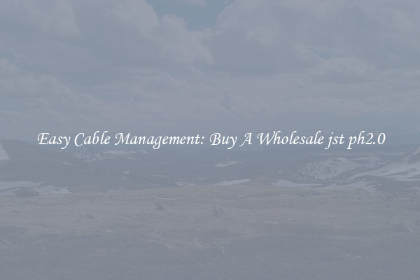 Easy Cable Management: Buy A Wholesale jst ph2.0