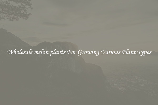 Wholesale melon plants For Growing Various Plant Types